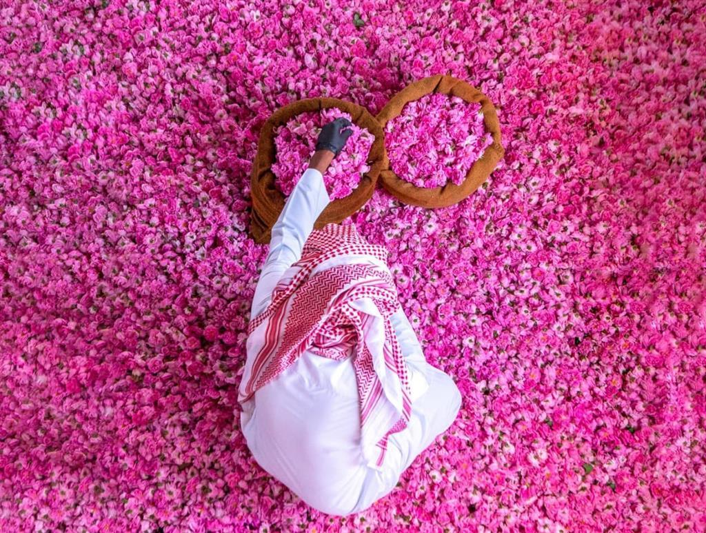Celebrate spring at Saudi Arabia's Taif Rose Festival